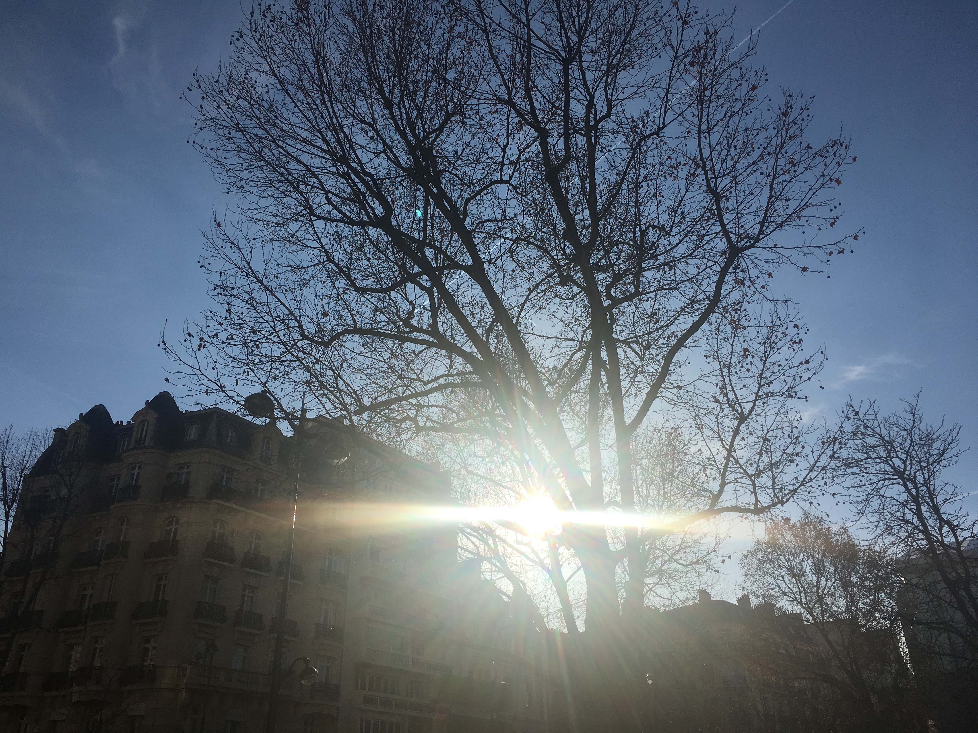 滞仏日記「敵を味方にしてこその勝利である、とぼくは肝に銘じて生きている」