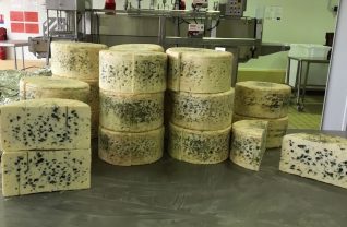 冷たいお茶や梅酒にも合う！？  今が旬の青かびチーズとは？