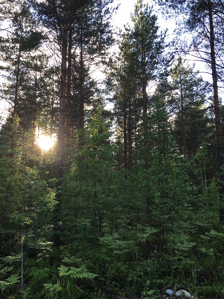 フィンランド特集１「白夜のフィンランド。気温がたった１３度でも嬉しい夏。一年で一番幸せな時」