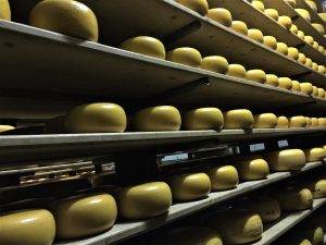 オランダが誇る至極のゴーダチーズ