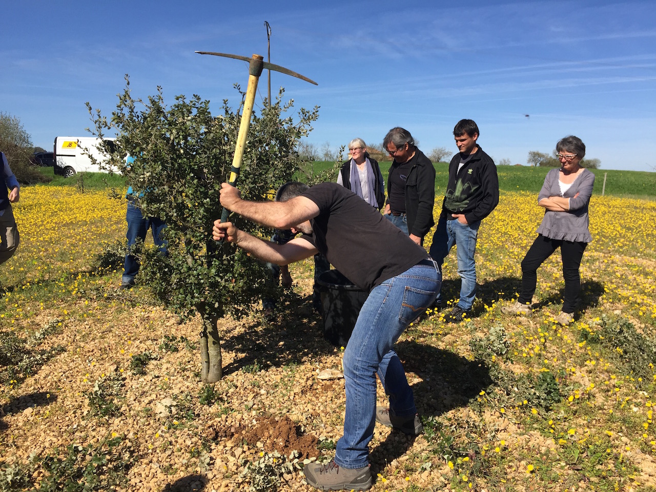 日々のことば、All’s well