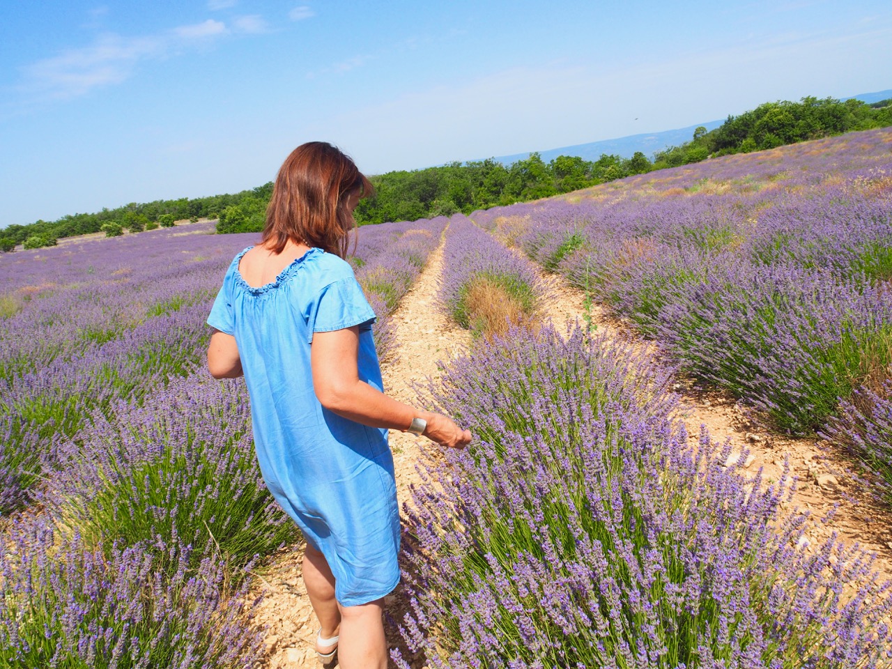 “ラベンダーの聖地”で、伝統の花あそび