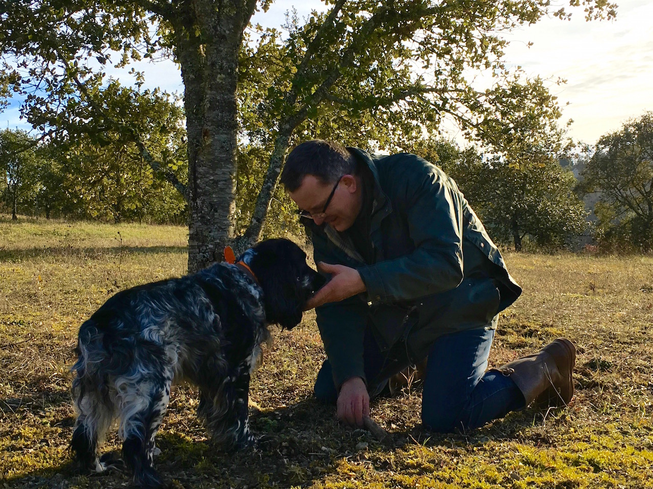 トリュフ犬と飼い主のスリリングな駆け引き