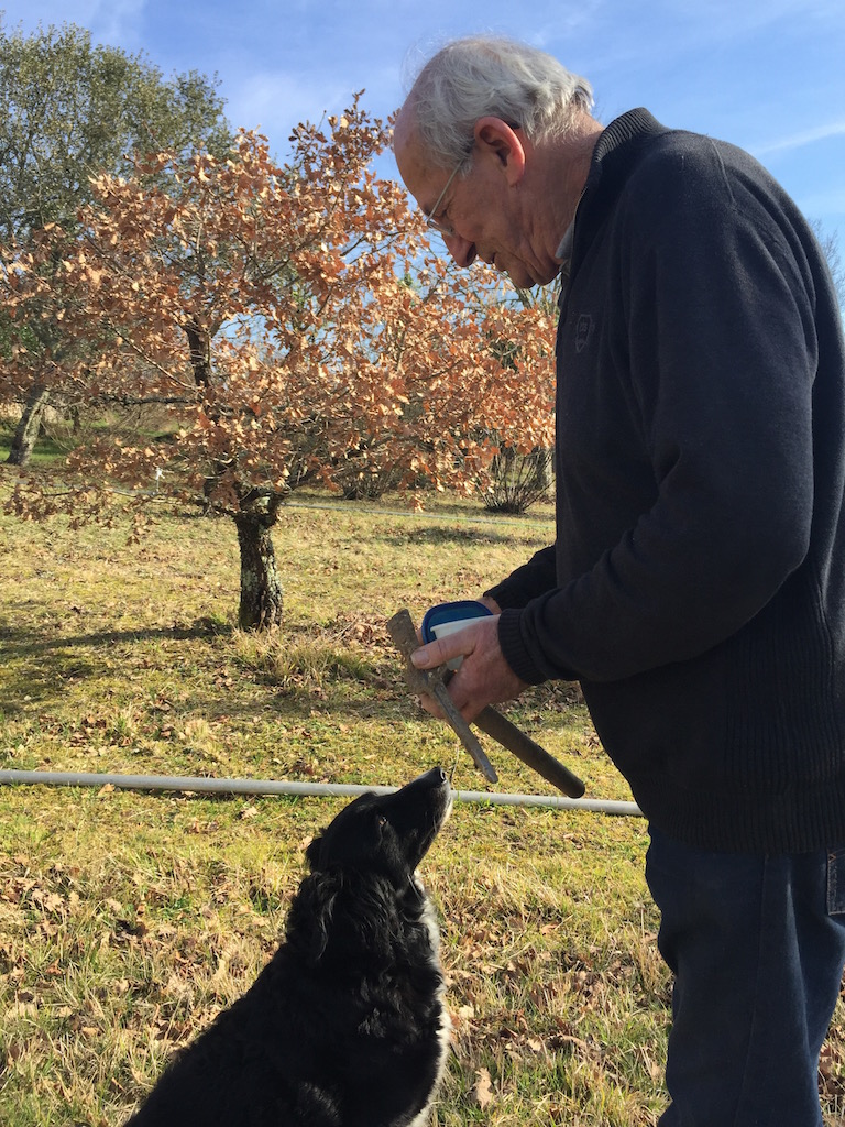 トリュフ犬と飼い主のスリリングな駆け引き