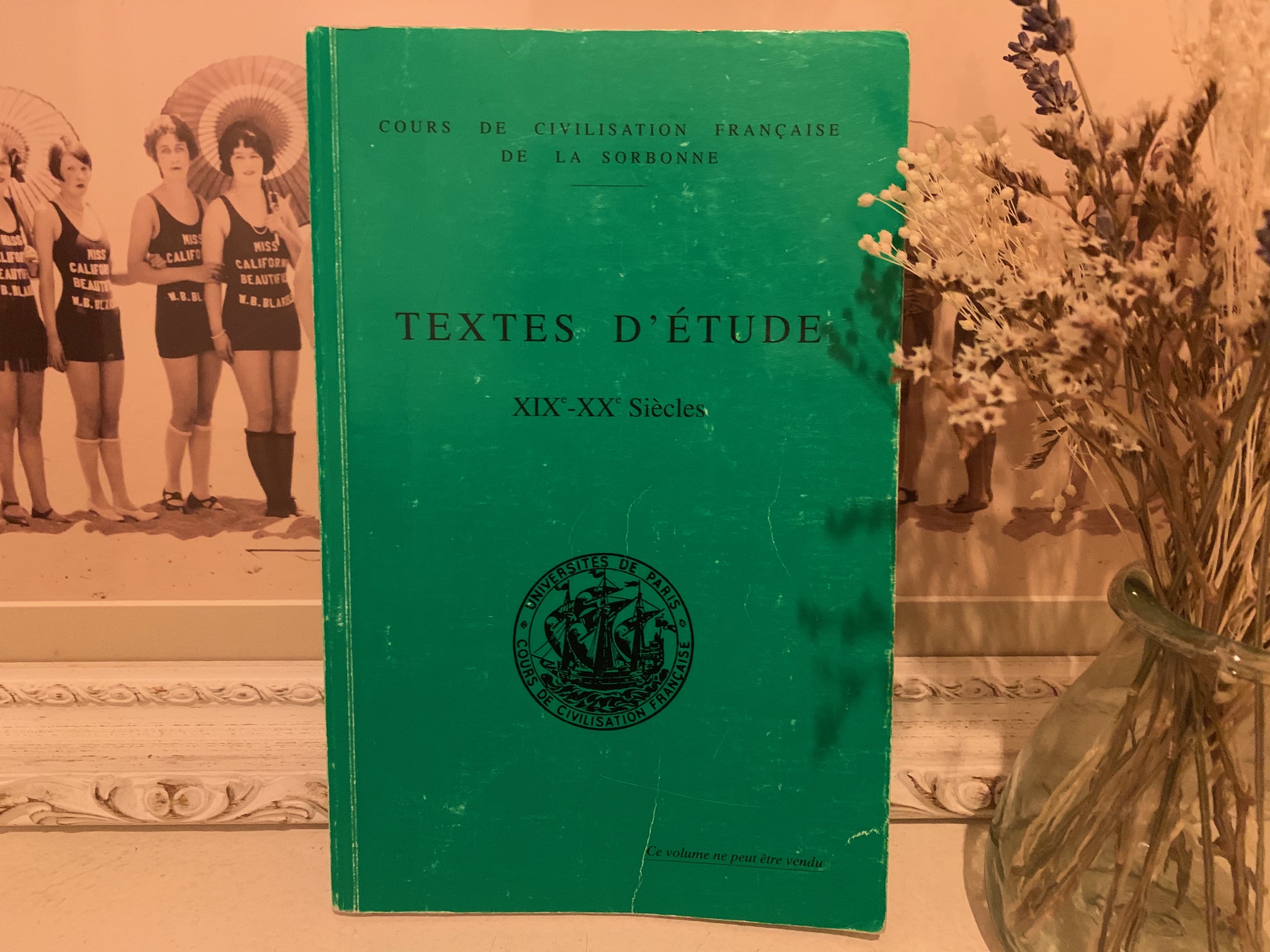 滞仏日記「このままでは日本は滅びるのか？」