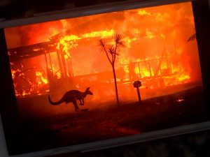オーストラリアの森林火災、緊急アンケート