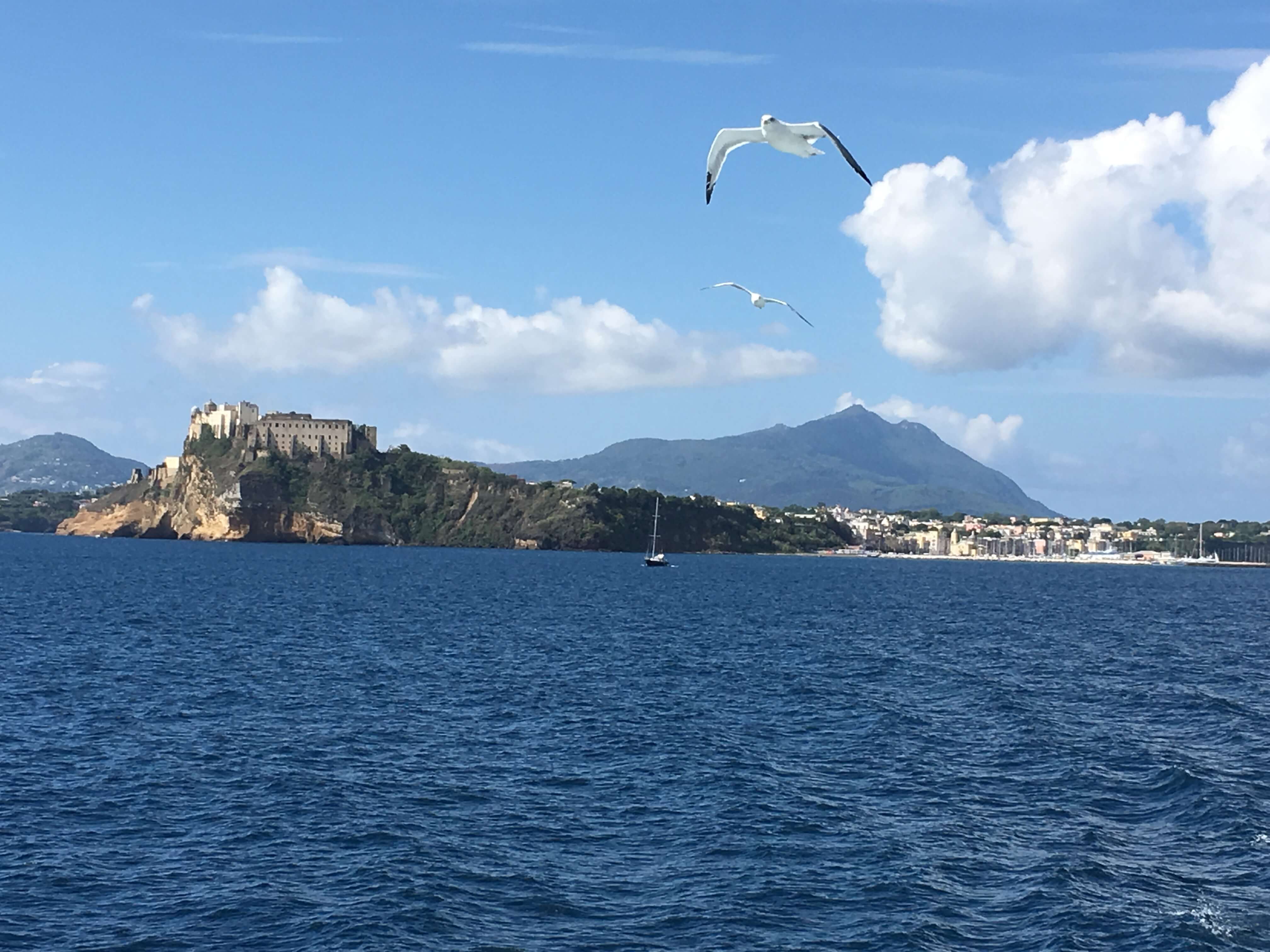 「南イタリアの離島、イスキア。緑の島」 １