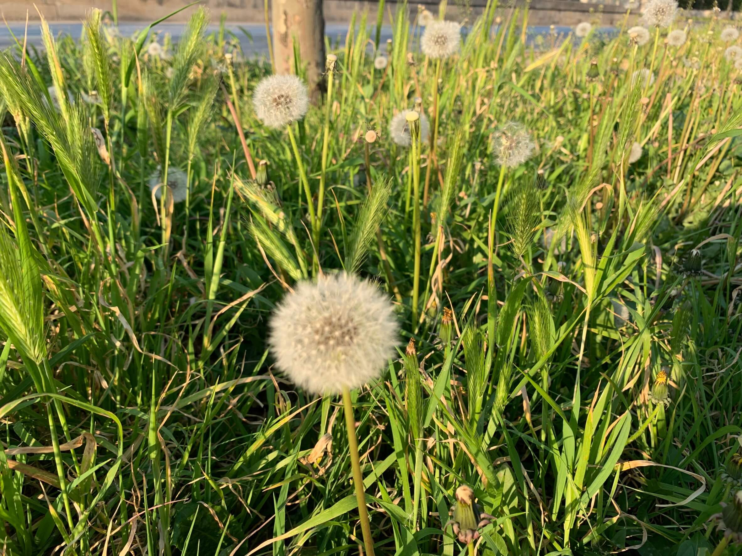 退屈日記「それでも春は来る」