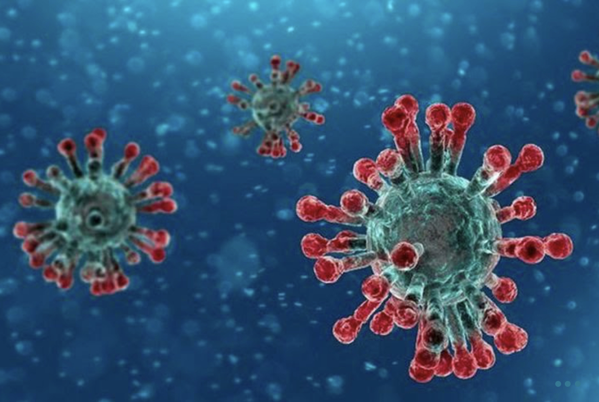 パリ最新情報「新型コロナウイルス、1年経ってわかったこと、まだ未知のこと」