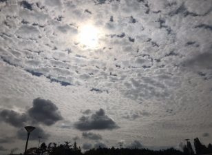 パリ最新情報「ロックダウンは出来ればしたくない。第二波、各国政府の苦悩と怖い話」