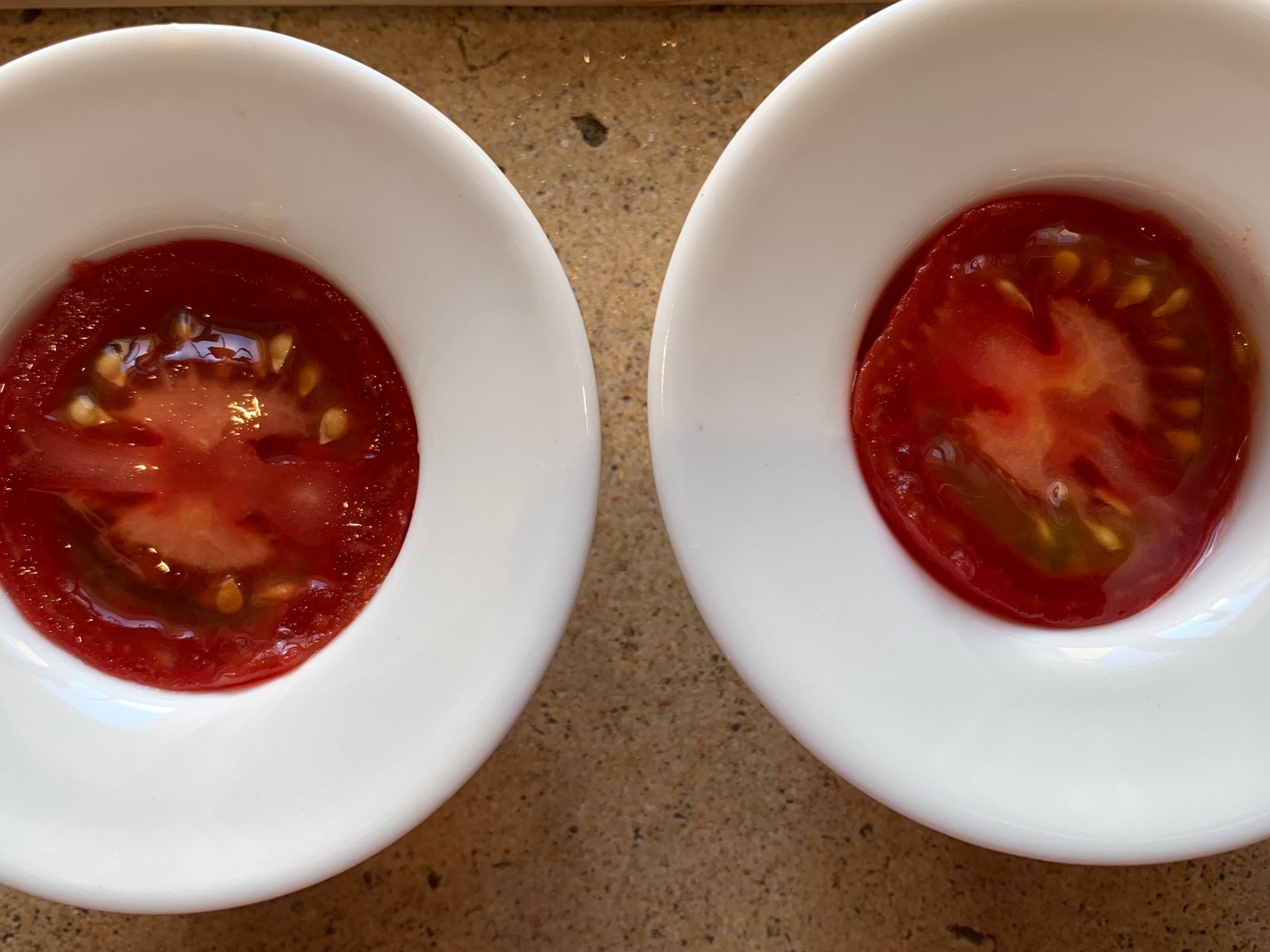 リサイクル・キッチン「初夏を感じる辻家の冷やしデザート・トマト」