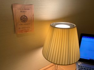 自主隔離日記「めっちゃ退屈な自主隔離二日目、いきなりの瞬間天国」