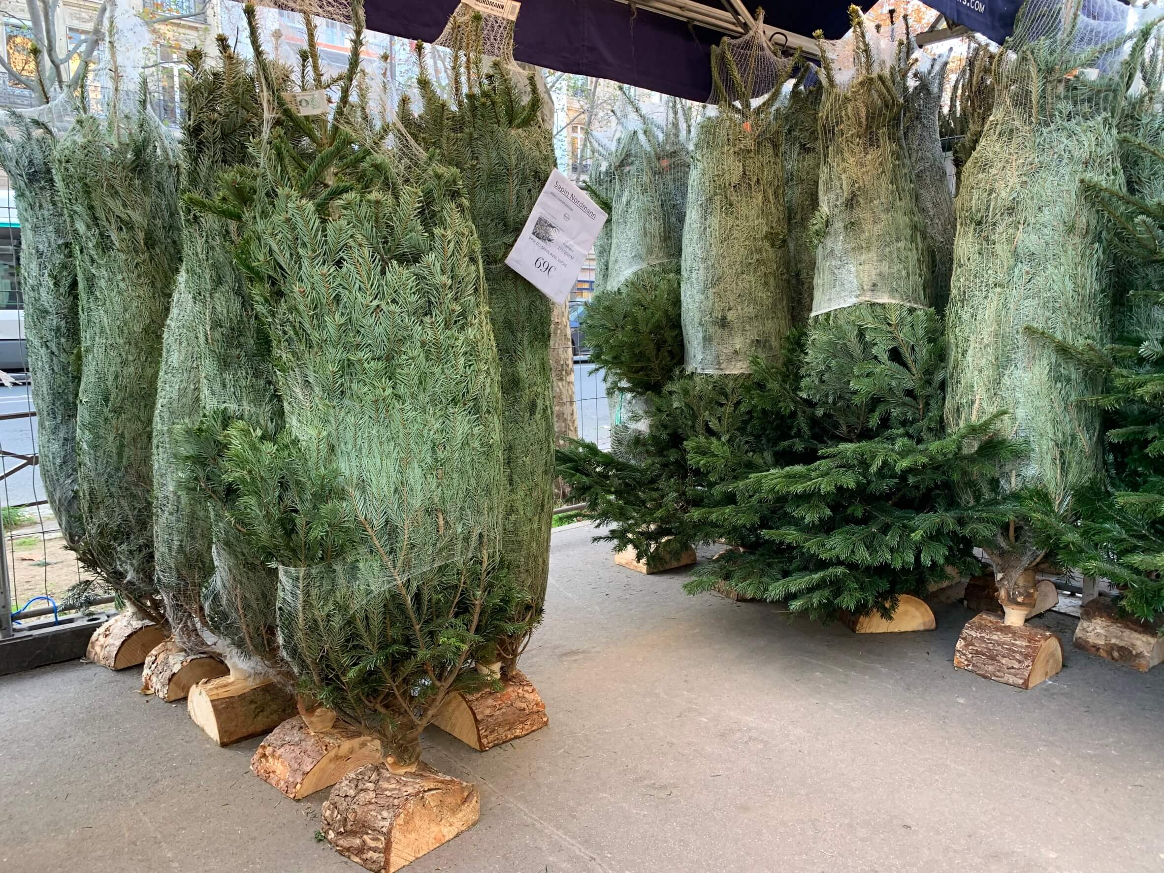 リサイクル想い出日記「クリスマスが近づき、ぼくはツリーを物色しに行った」