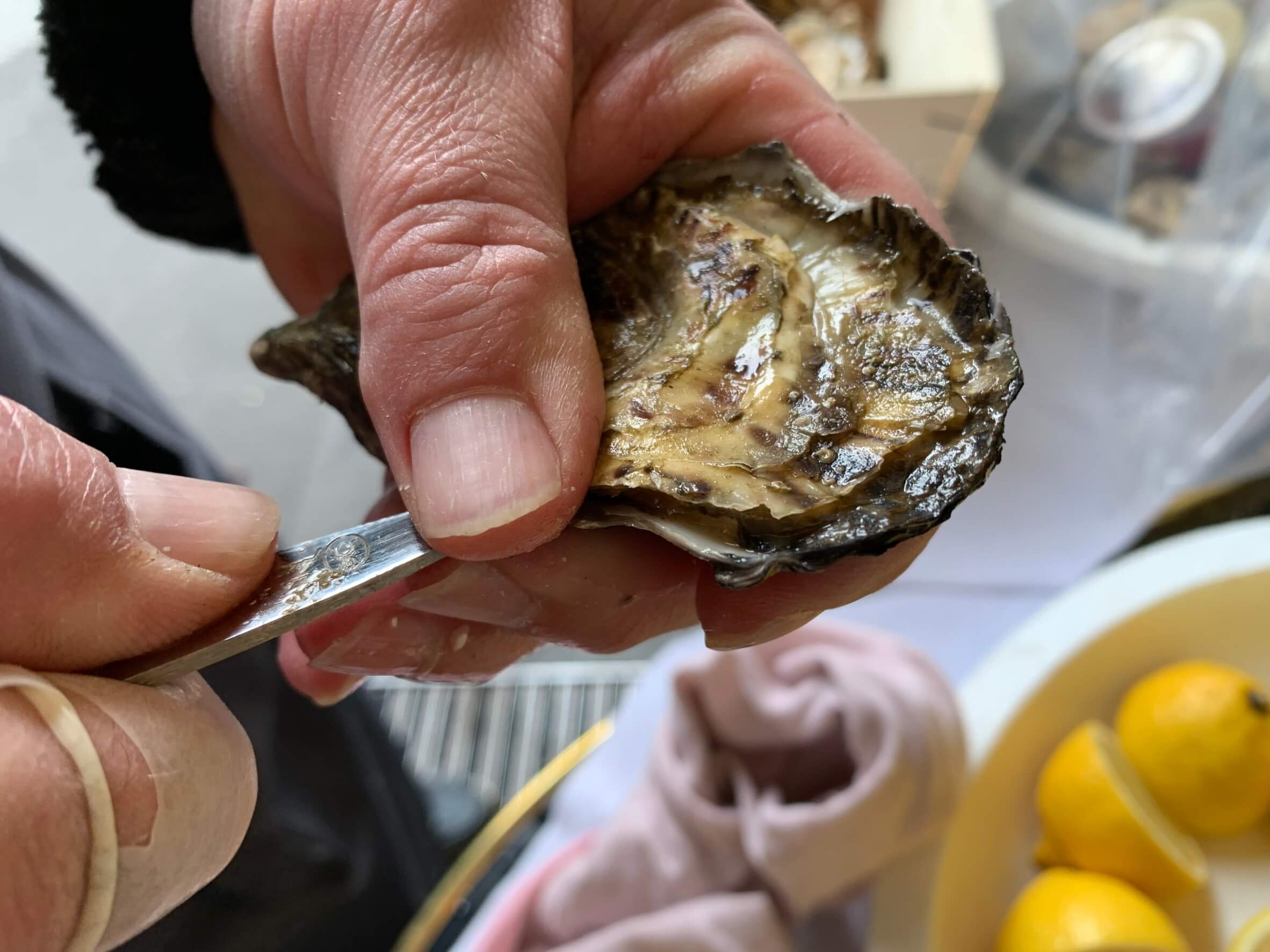 退屈日記「日本もフランスも大好きな牡蠣の驚くべき共通点」