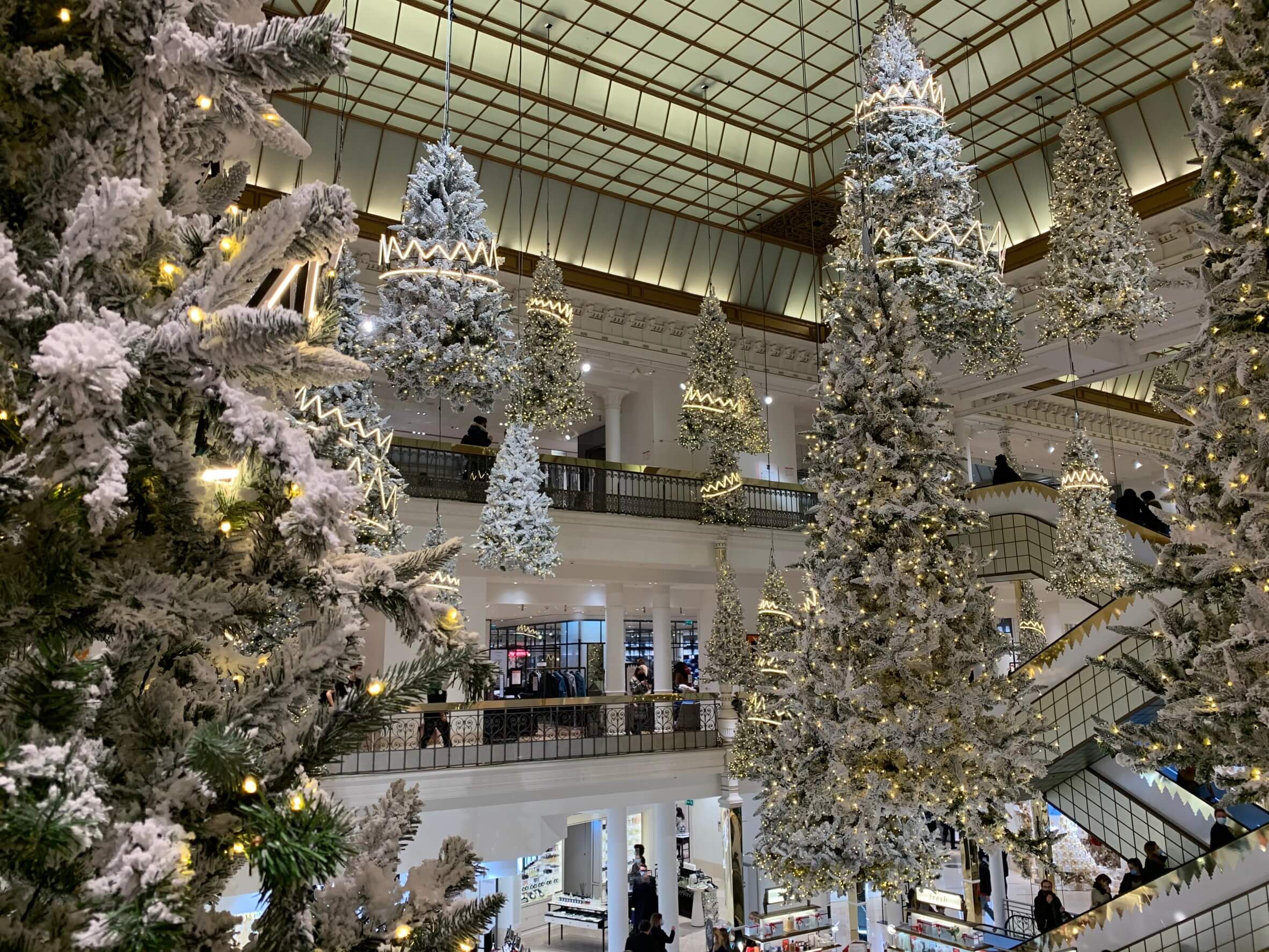 滞仏日記「それでもクリスマスはやってくる！」