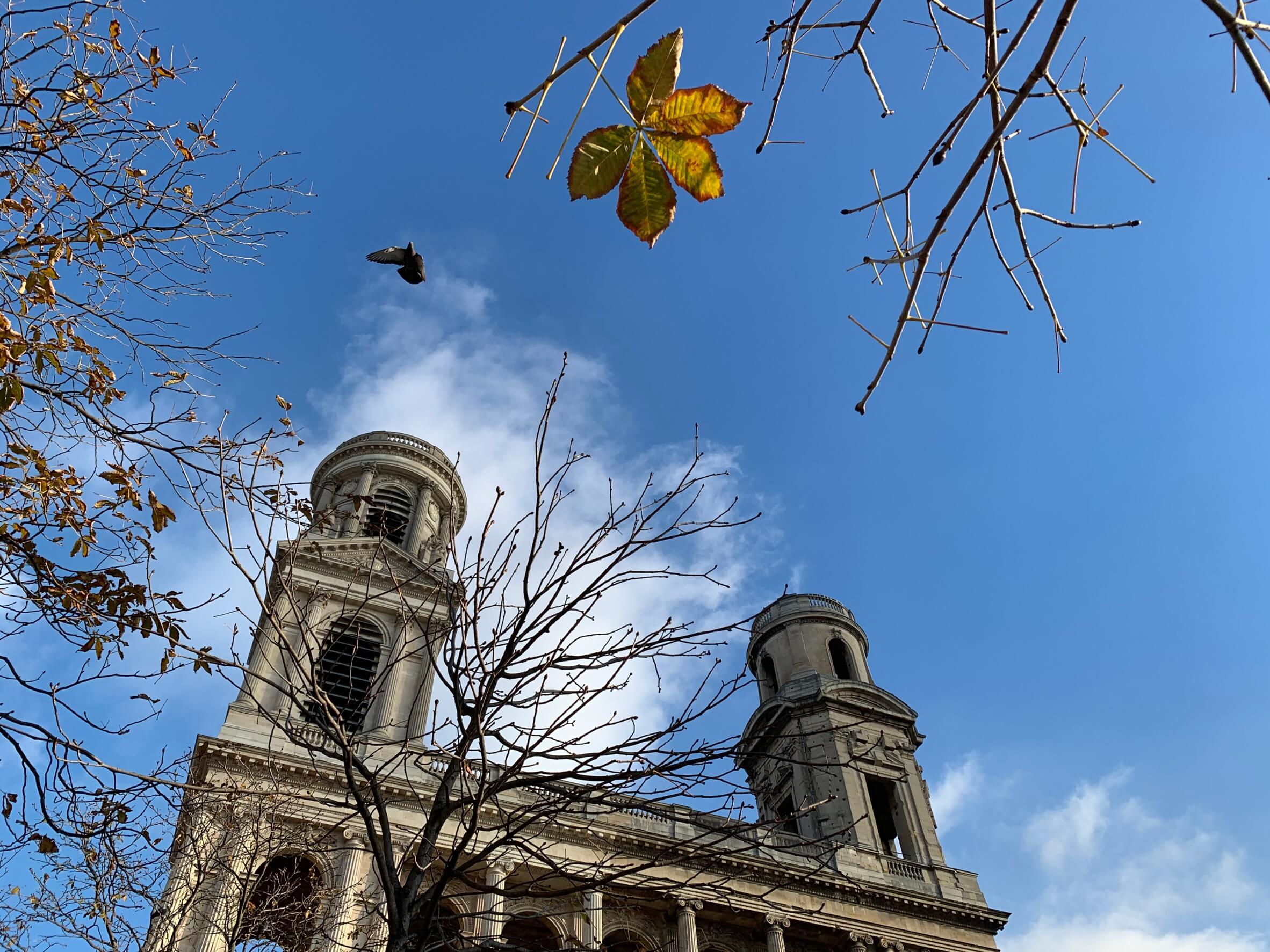 滞仏日記「新年早々、ちょっと切ない愛のぽっぽっぽ物語」