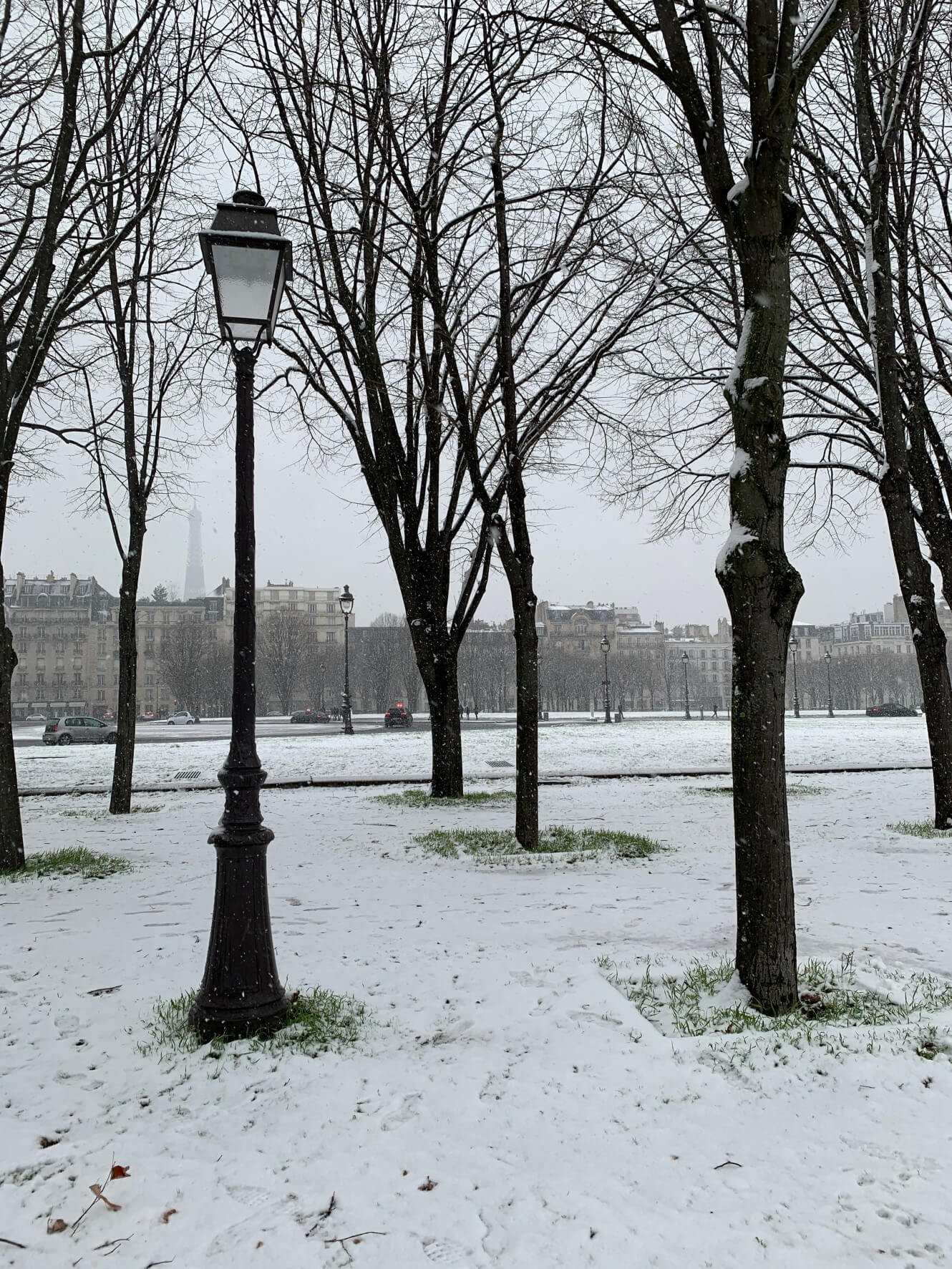 滞仏日記「白銀のパリ。モンマルトルでスキー、セーヌ河畔で雪だるま！」