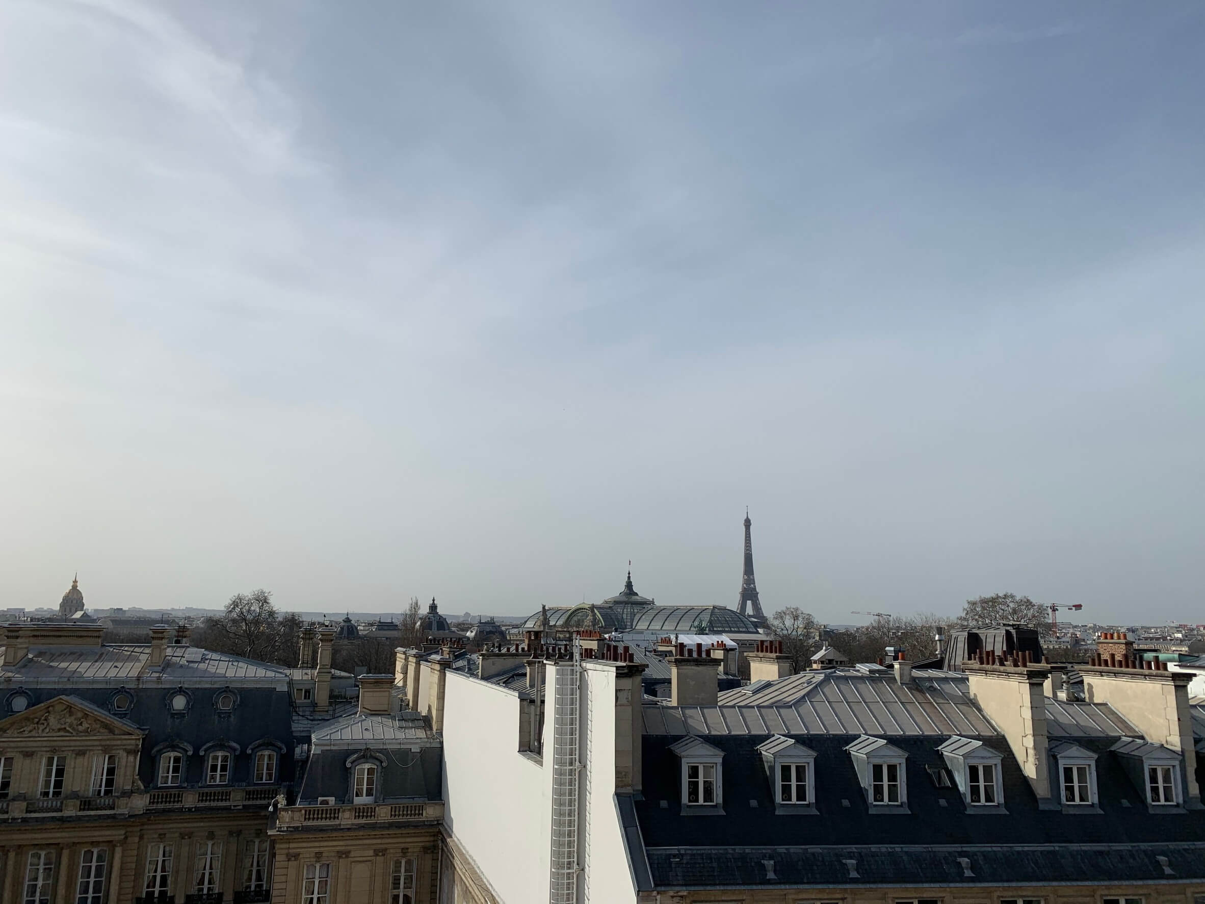 滞仏日記「コロナ出現から一年を経て、街の哲学者アドリアンが今こそ語る」