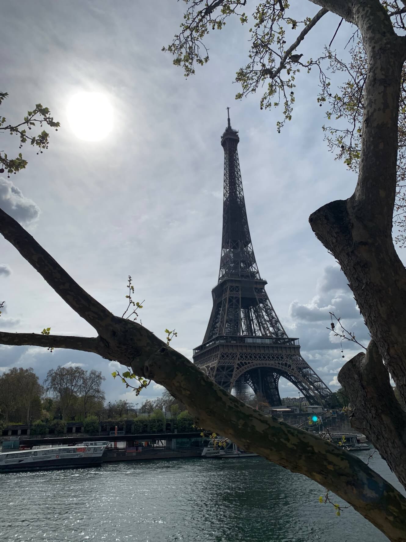 滞仏日記「ケンゾーが愛したゴッセ。ぼくがなぜシャンパーニュに溺れるのか？」