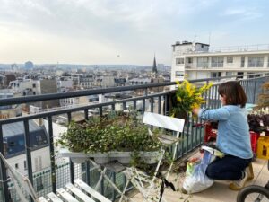 ステイホームは窓際癒し計画に最適期間！