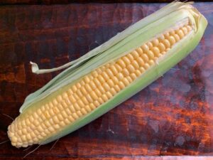 今が旬、夏ごはん日記「トウモロコシご飯の思い出、ぼくの夏のご馳走だった」