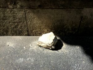 日々のことば「出る」