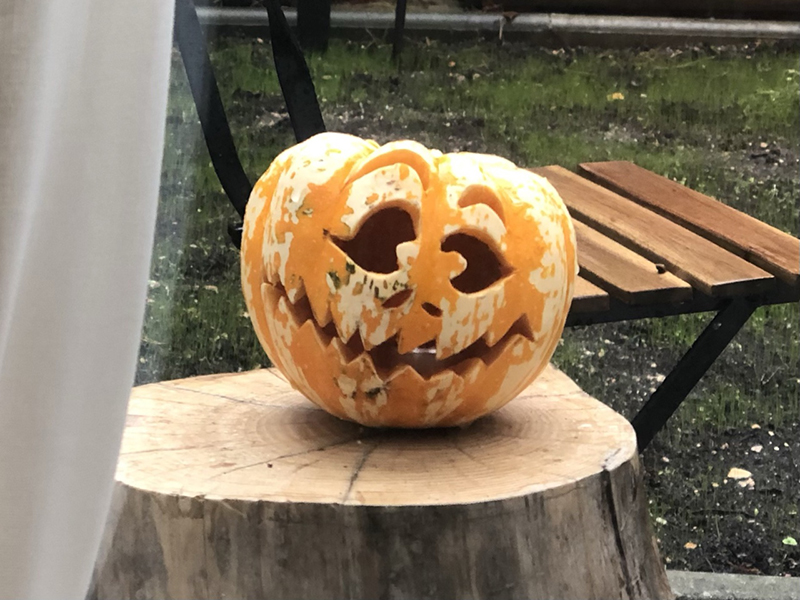 パリ最新情報「フランスのハロウィン支度は畑から」