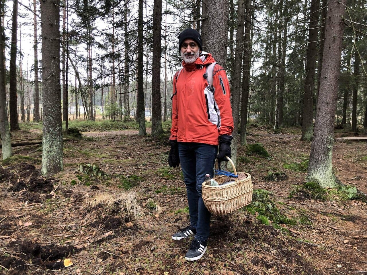 フィンランドの森で癒やしのキノコ狩り