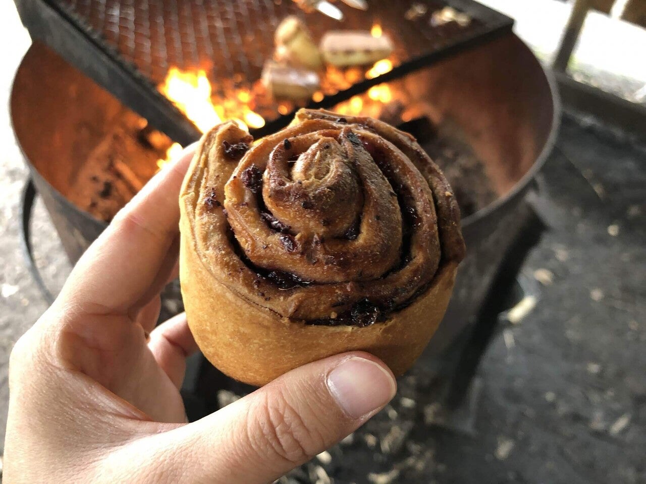 フィンランドの森で癒やしのキノコ狩り