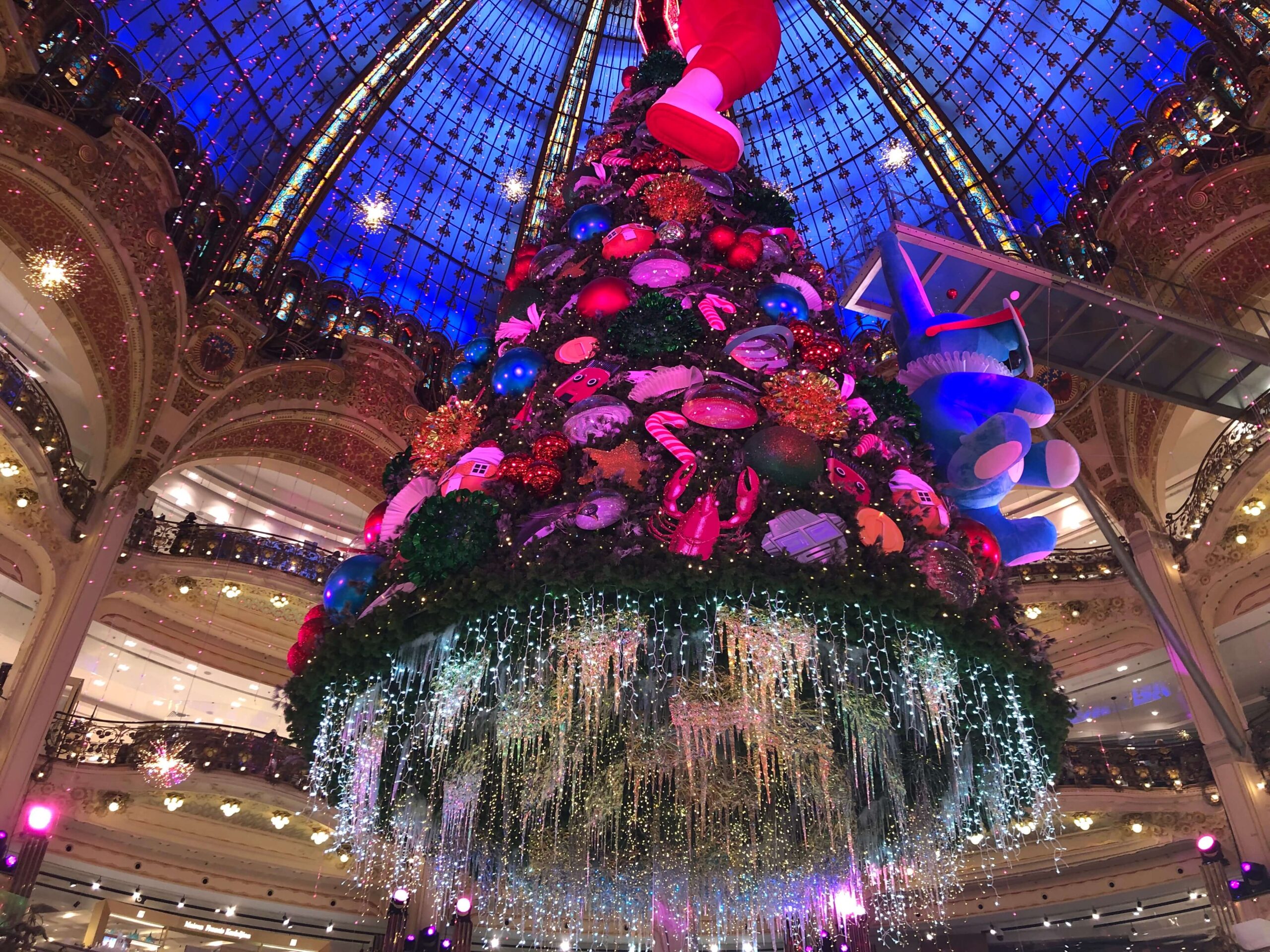 滞仏日記「今年最後の大仕事が発表されます。クリスマスイブ大イベント！」