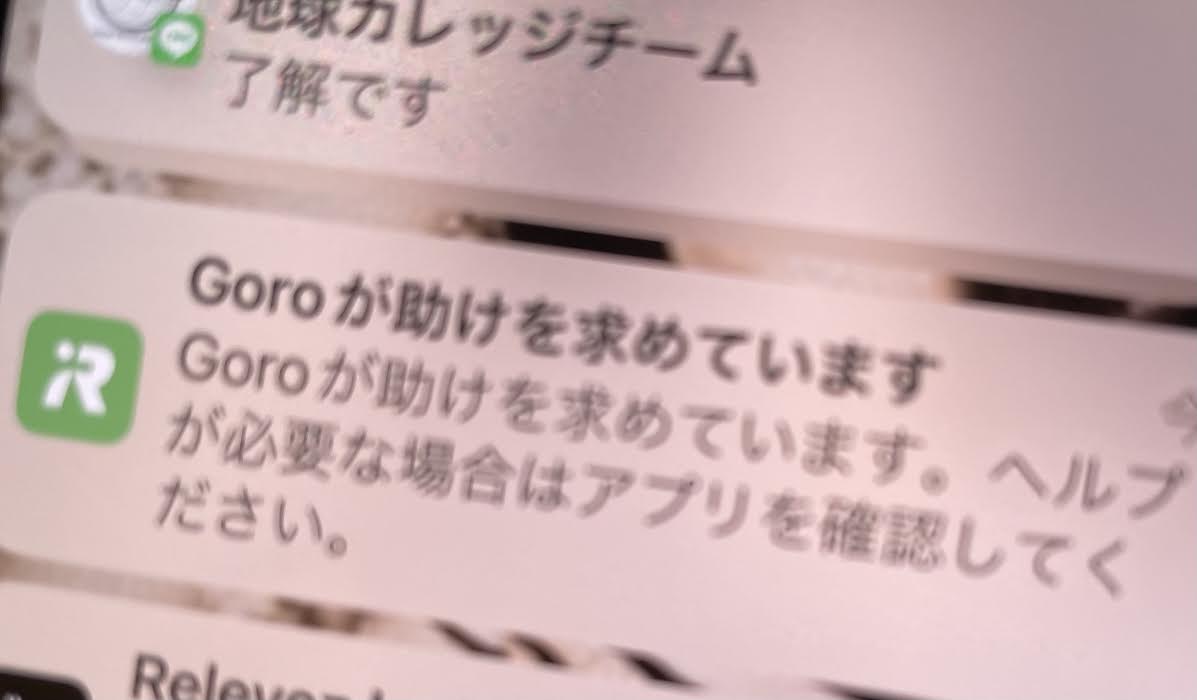 滞仏日記「三四郎を迎えに行く前夜に息子と誕生日会を開催したの巻」