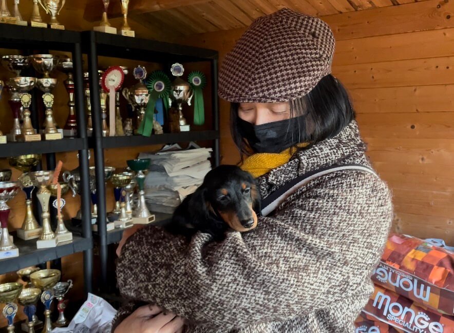 滞仏日記「ご報告。急転直下、子犬を育てることになりました」