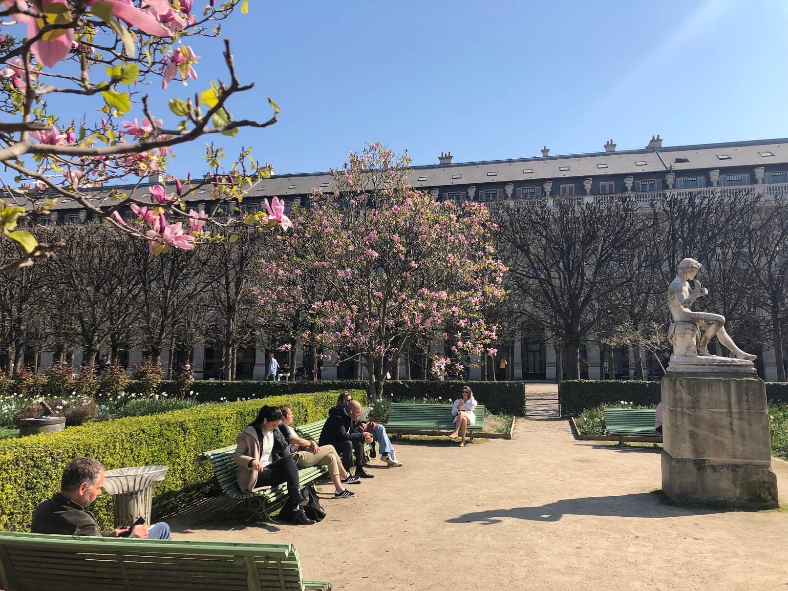 パリ最新情報「満開のマグノリアの下で、パレ・ロワイヤル庭園に隠された秘密を見つける」