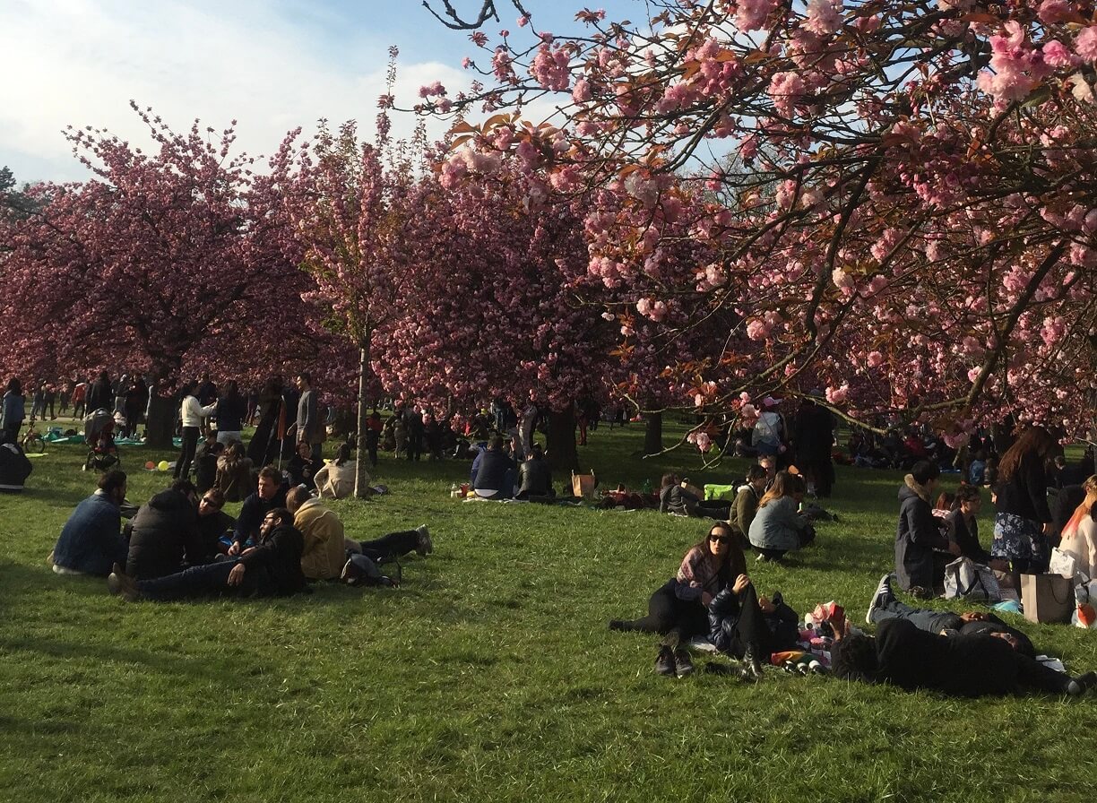 パリ最新情報「桜に思いを馳せて。パリのカクテルウィークは日本がテーマ！」