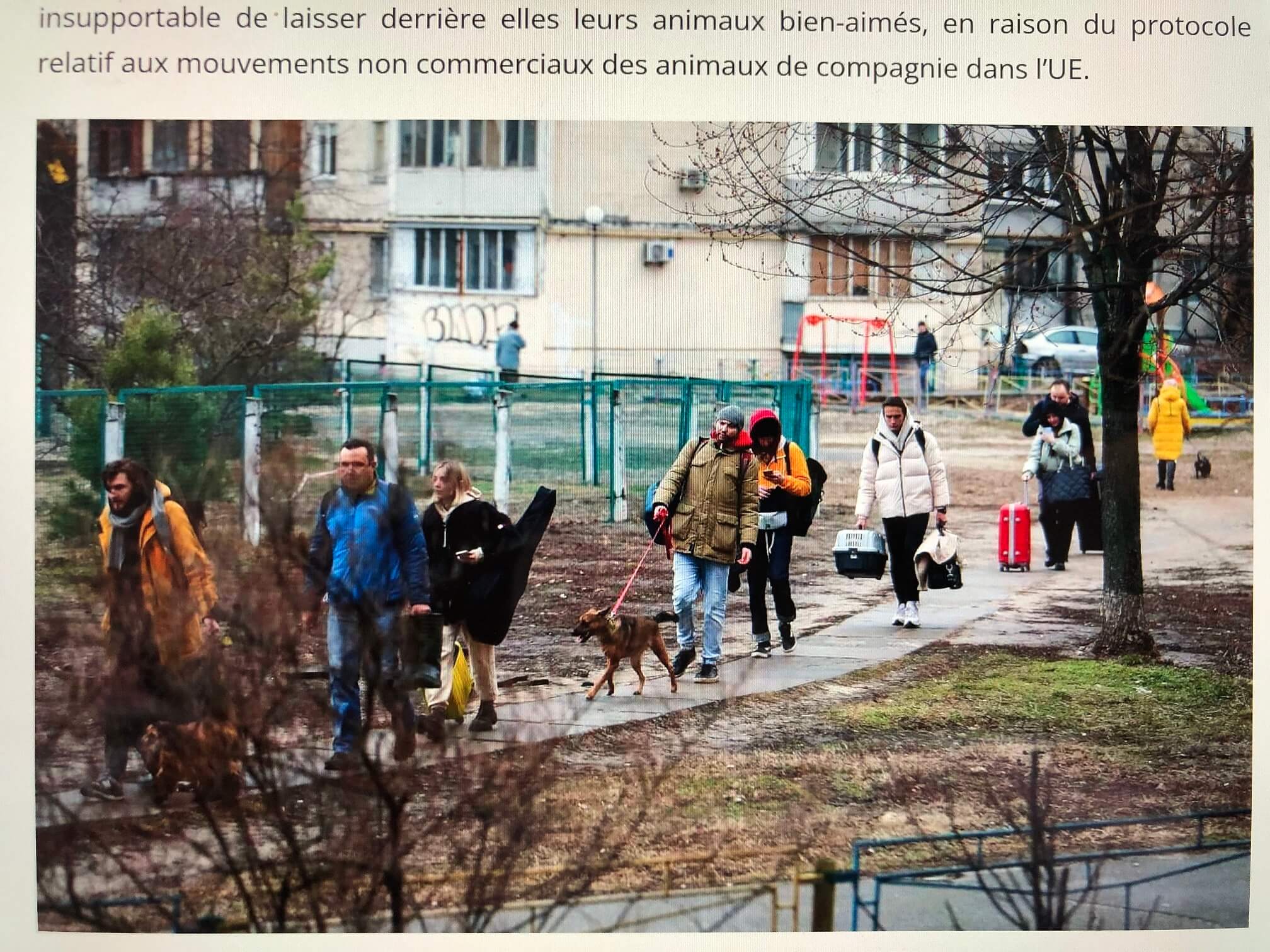 欧州最新情報「戦時下のペットたち。ウクライナにおける動物たちの今」