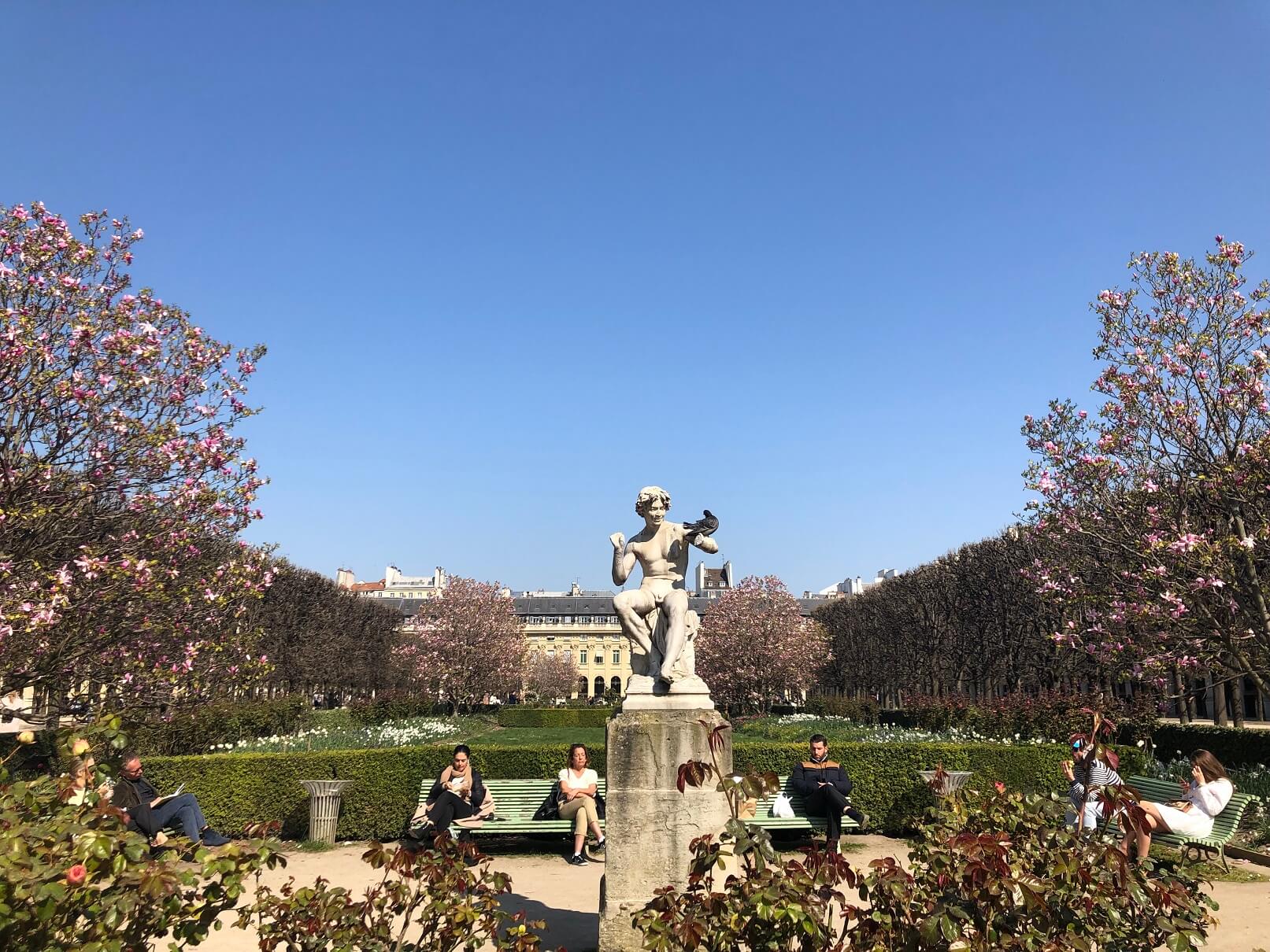 パリ最新情報「満開のマグノリアの下で、パレ・ロワイヤル庭園に隠された秘密を見つける」