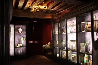 愛すべきフランス・デザイン「謎めくフレンチインテリア『好奇心の小部屋』とは…？」