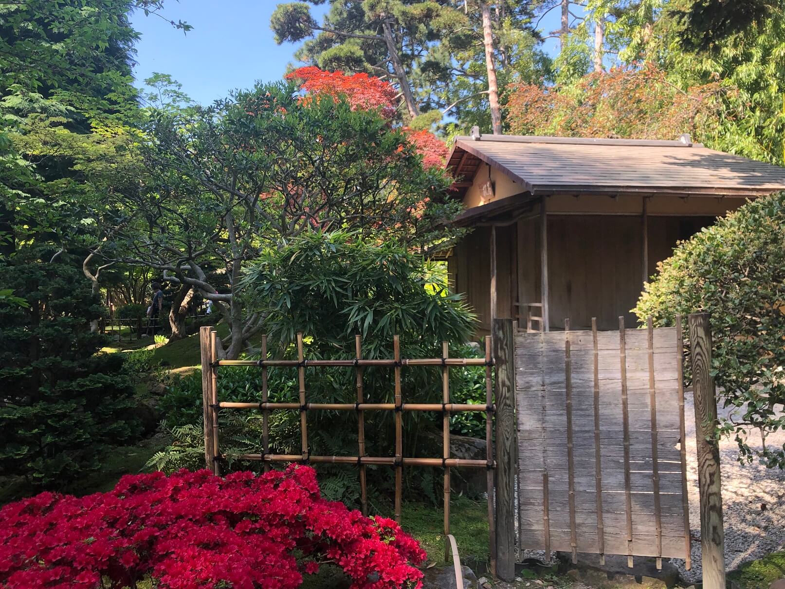 パリ最新情報「日本人も驚く完成度。パリで一番の日本庭園がリニューアル」