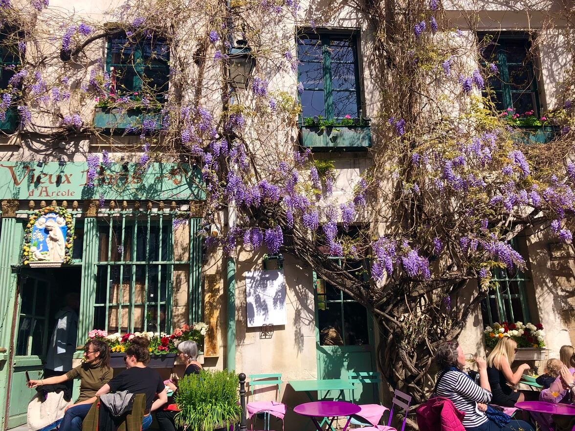 パリ最新情報「淡紫に染まるパリ、藤が季節を迎える」