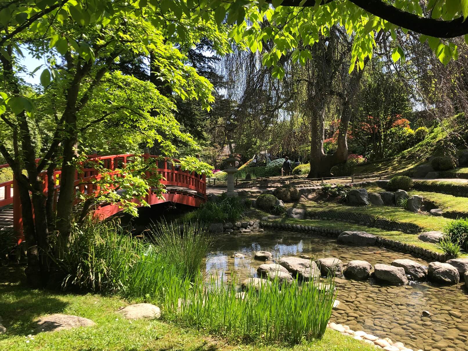 パリ最新情報「日本人も驚く完成度。パリで一番の日本庭園がリニューアル」