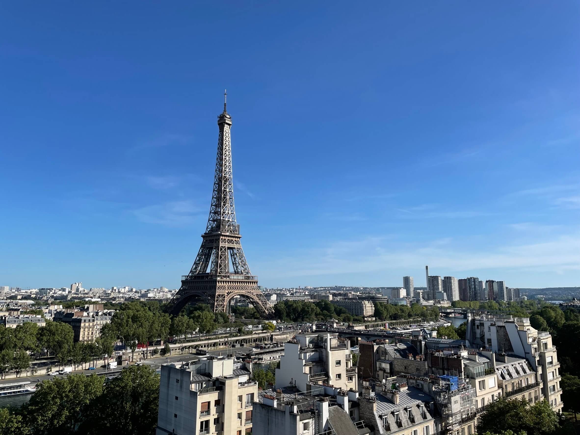 滞仏日記「ぼくの噂話をわざわざ言いに来るにんげん登場。邪気払いに病院へ行く」