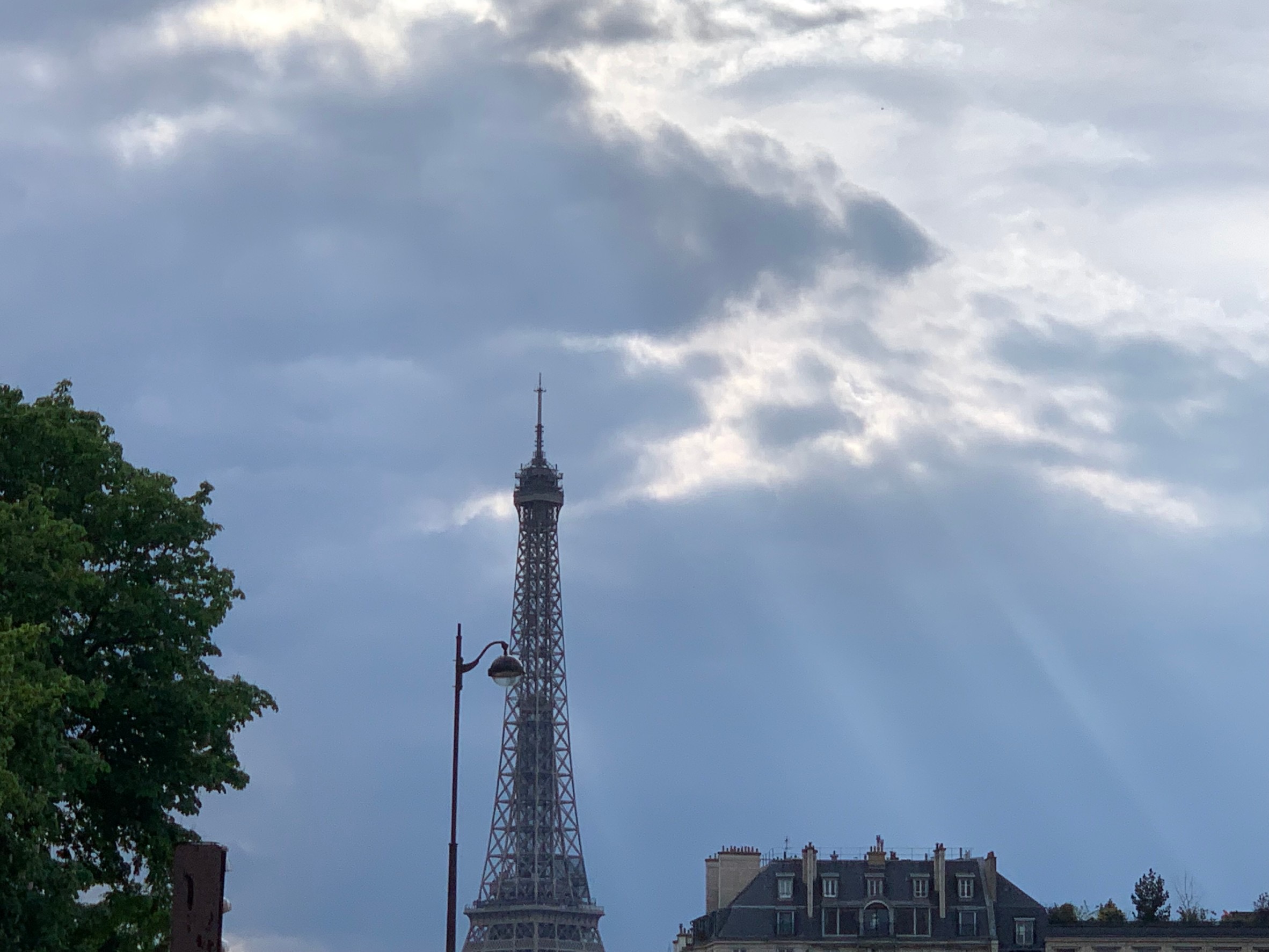 滞仏日記「冷やさない冷やし中華という禁じ手で息子をうなずかせたよ、の巻」