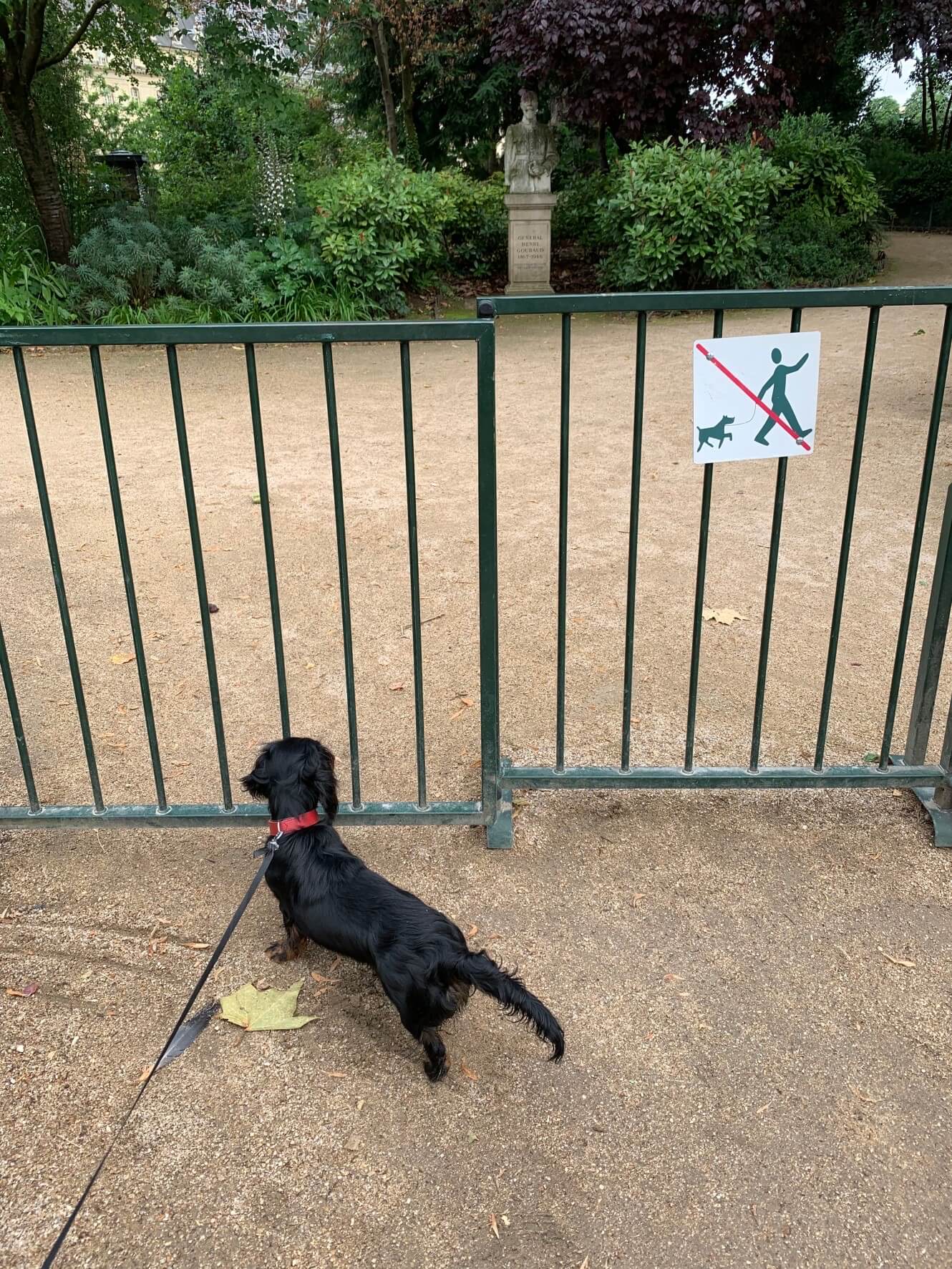 退屈日記「愛犬の脱走。ぼくも一緒に追いかけたが、見失ってしまった」