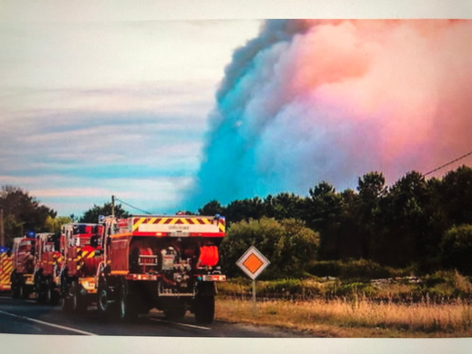 パリ最新情報「フランスに記録的な熱波襲来。各地で40度越え、山火事も相次ぐ」