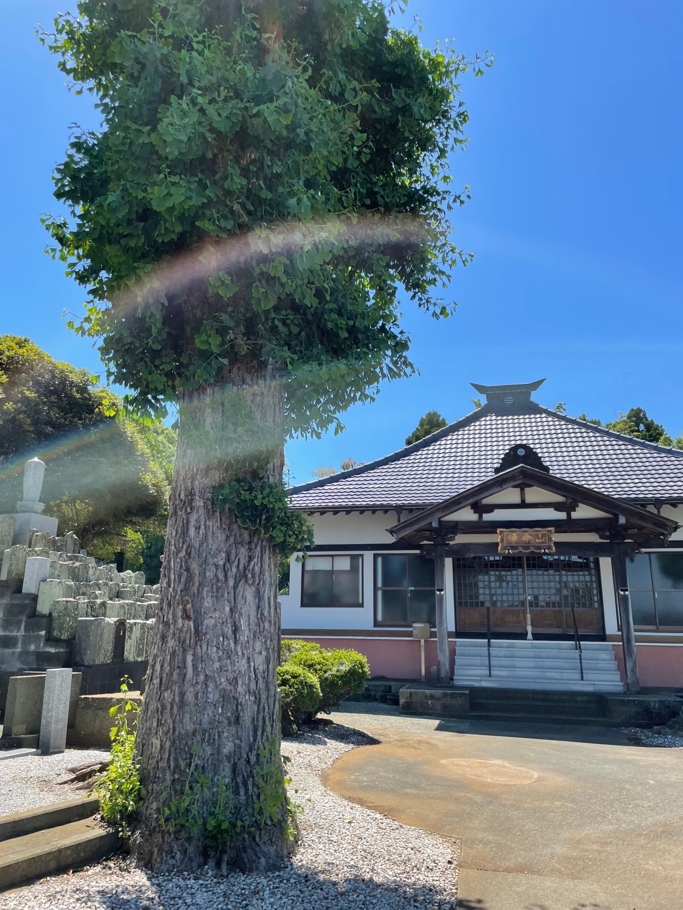 滞日日記「ほのぼのとした死者との対話。迷子になったお寺さんの敷地で」