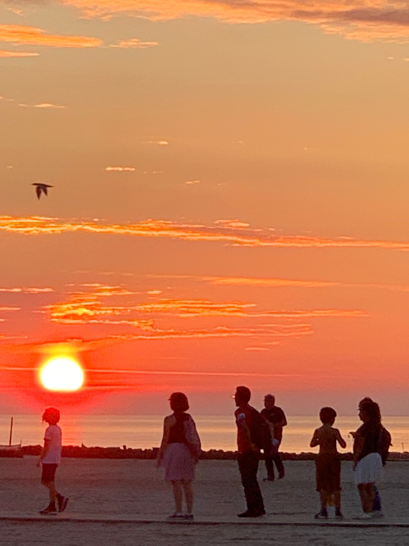 退屈日記「この晩夏、最大の夕陽に三四郎が大はしゃぎの巻」