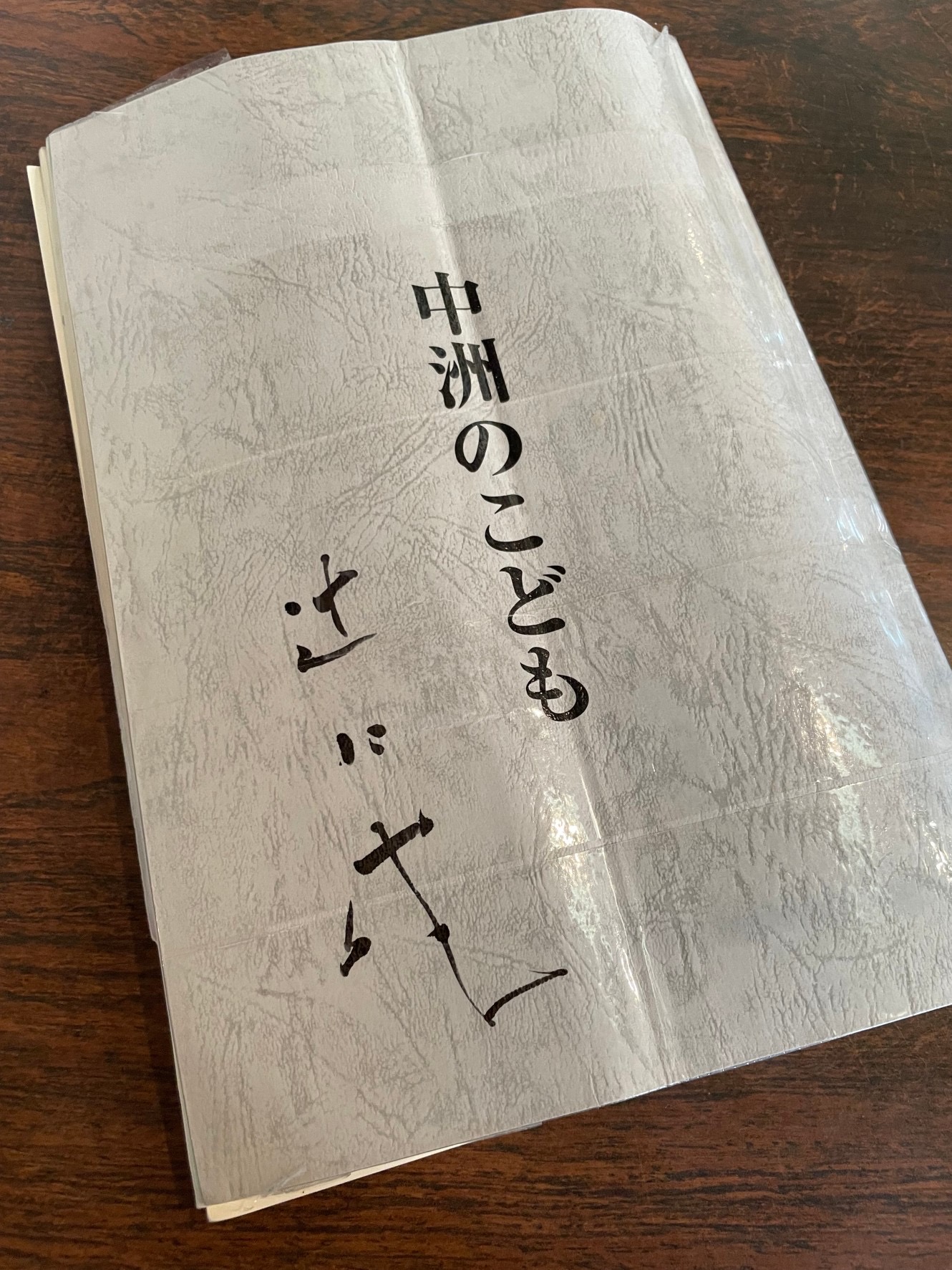 滞日日記「新作映画「中洲のこども」の撮影快調。なぜ、新作映画になったのか」