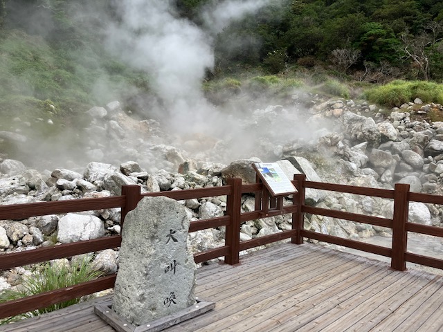 滞日日記「腫瘍マーカーとかＣＴスキャンとか、・・・結果が出るまでドキドキの巻」