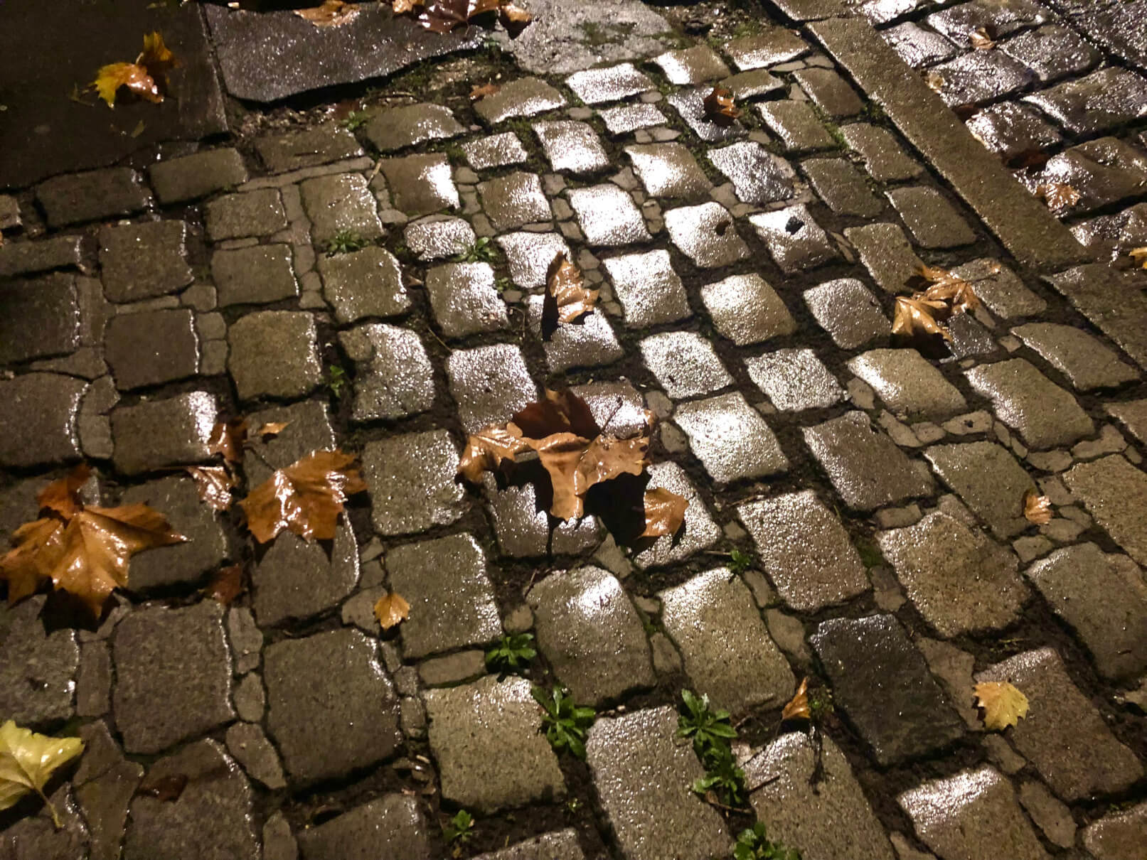 パリの石畳はこうして始まった。二千年の時を超えて