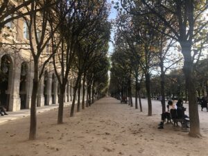 パリ最新情報「フランス、安楽死導入を巡る議論を開始へ。法改正への期待が高まる」